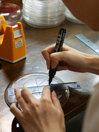 マジックDSC08859