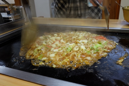 DSCF3593 - コピー (500x333)