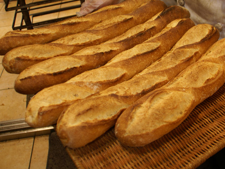 バケットDSC00057