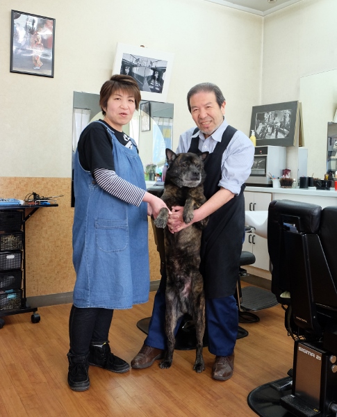 中_ゴロちゃん_DSCF0631 (485x600)