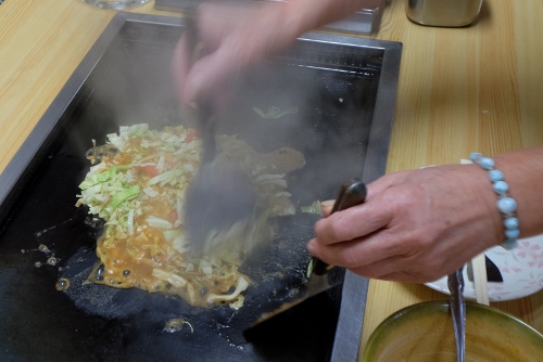 DSCF3570 - コピー (500x334)