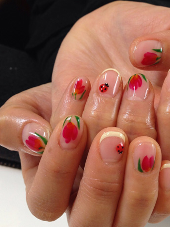 爪てんとう虫image_1