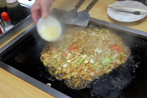 DSCF3585 - コピー (500x334)