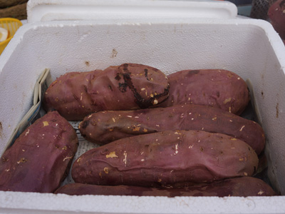 400焼き芋もと_DSC04081