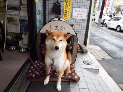 DSCF2100 (2) (400x300)