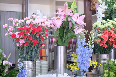 DSCF8874 (1280x851) (400x266)