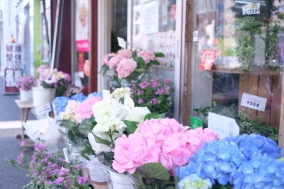 DSCF8878 (1280x853) (400x267)