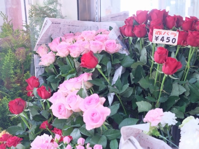 DSCF8883 (1280x959) (400x300)