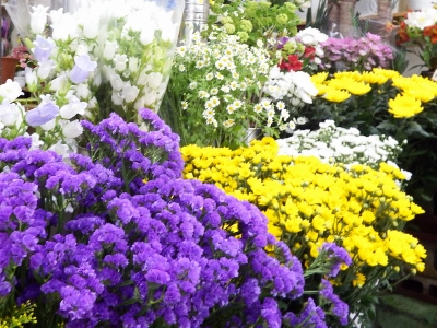 DSCF9602 (1280x961) (400x300)