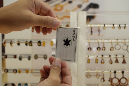 小_銭亀_DSCF2585 (500x333)