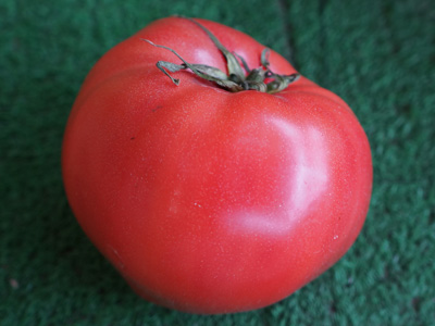 400トマト_DSC04263