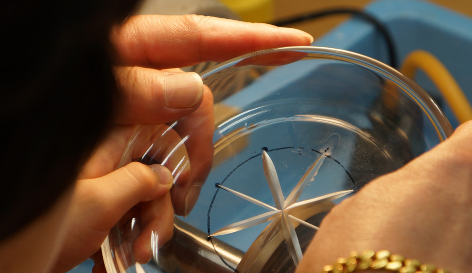 江戸切子協同組合ショールーム