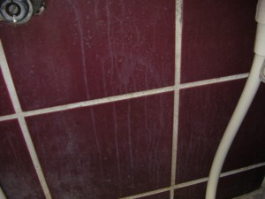 SANYO DIGITAL CAMERA