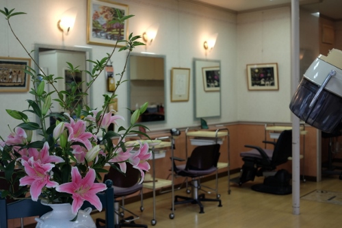 中_花と店内 (500x333)