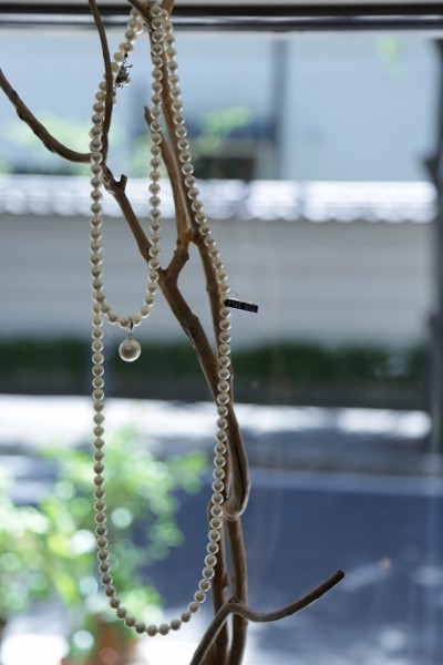 中_ショーケース_IMG_5299 (400x600)