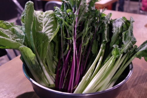 小_野菜_DSCF3040 (500x333)