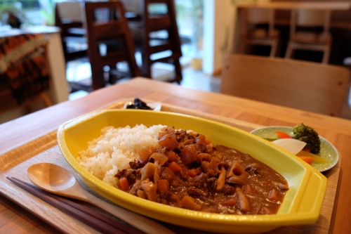 中_ハヤシライス_DSCF4381 (500x333)