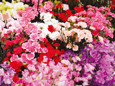 家庭や職場に、贈り物に