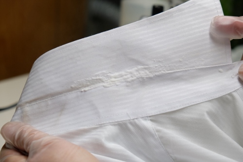 3_ぶくぶく_DSCF4592 (500x333)