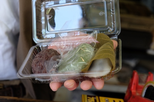 朝生_DSCF1651 (500x333)