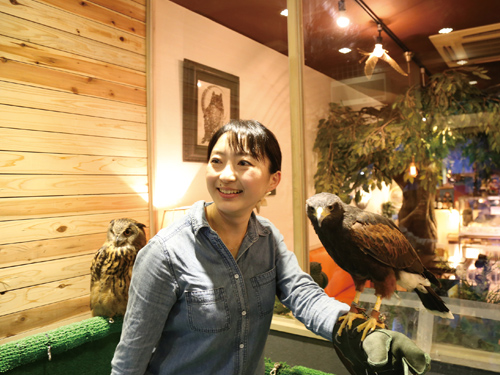 鳥のいるカフェ01