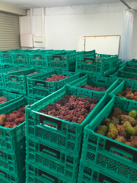 messageImage_1474017662920 (450x600)