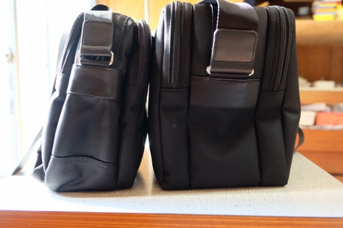 比較_DSCF8580 (500x333)