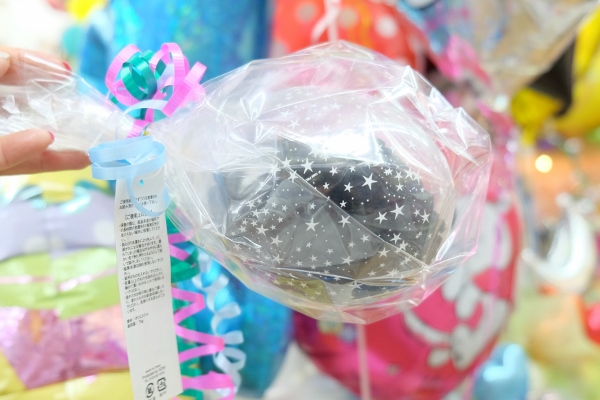 DSCF4346 (600x400) - コピー