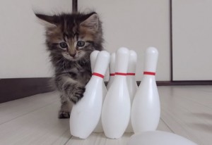 江東区　肩こり　腰痛　整体　南砂　骨盤矯正