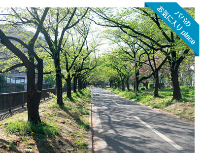 パパのお気に入りplace