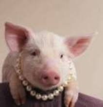 東京　江東区　南砂　肩こり　腰痛　マッサージ　整体　接骨院　整骨院