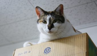 カギの救急車辰巳店