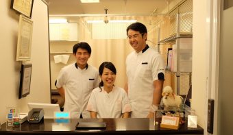 ひつじの整体（ひつじ整骨院併設）