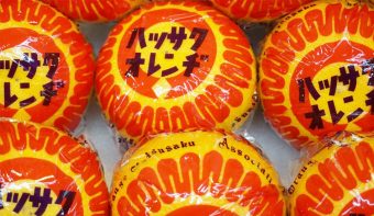 Kudamono Iguchi (Iguchi Fruits)