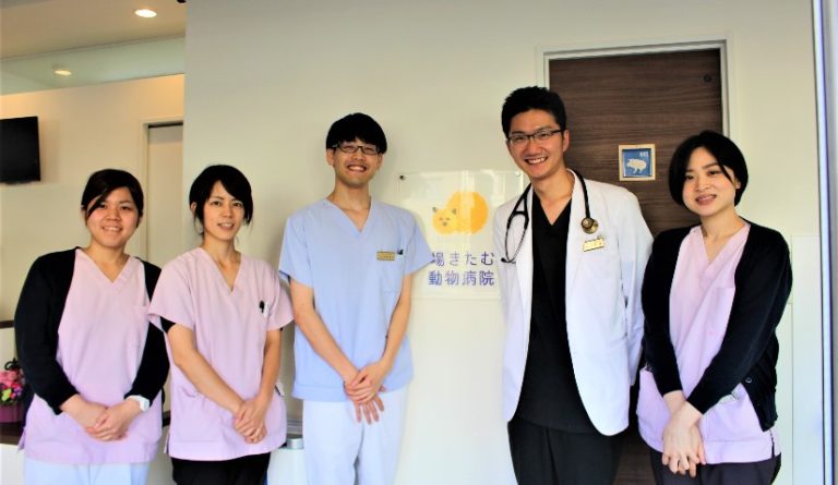 木場きたむら動物病院