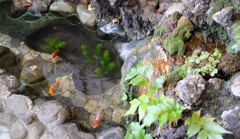 天神煎餅　大木屋