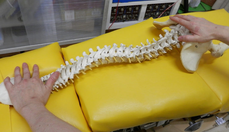 末広通り接骨院