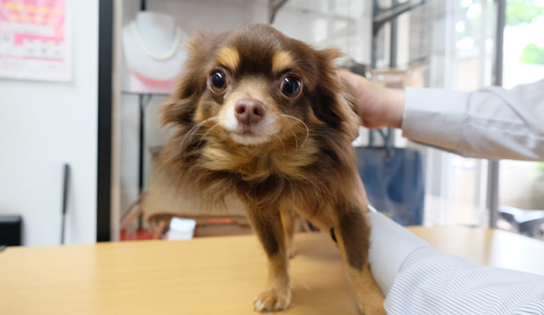 買取本舗ジュエルブランド大島駅前店