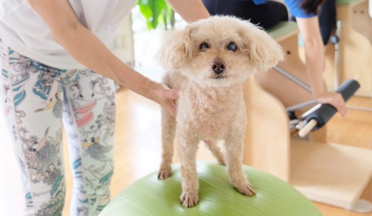 ピラティスNokkoStudio