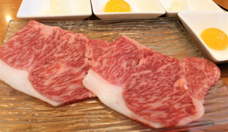 五臓六腑 豊洲店