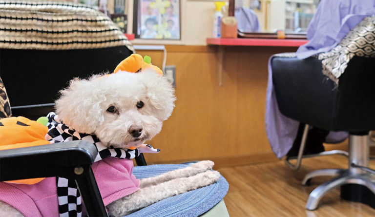 ヘアーさぶまりん美容室