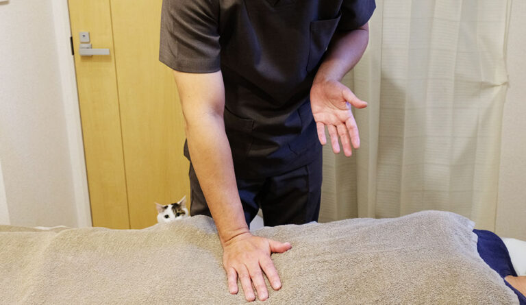 しろねこ整体院