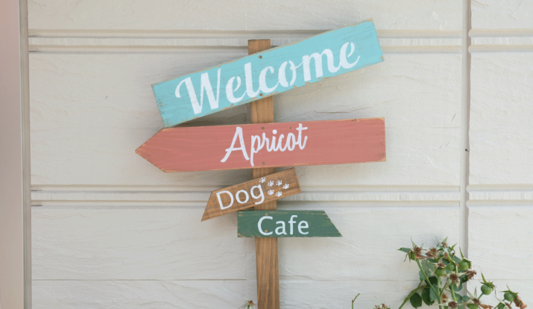 Dog Cafe Apricot