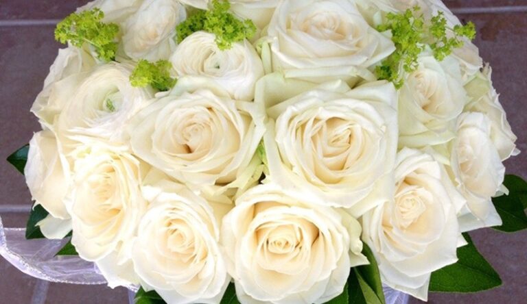 アトリエ・ベベ