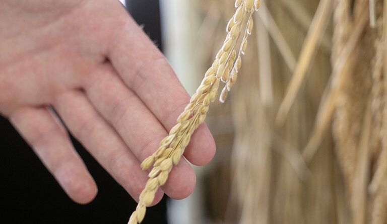 （有）千田食糧長澤商店