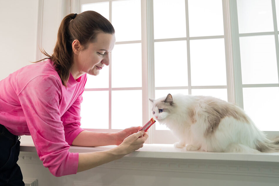 フォトスタジオネコピアノ