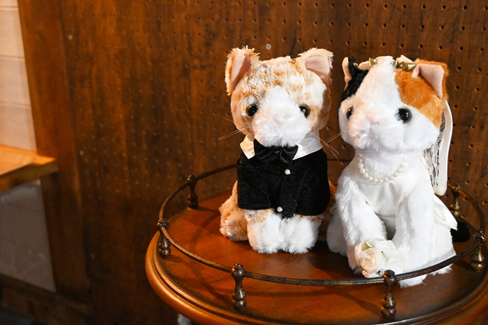 フォトスタジオネコピアノ