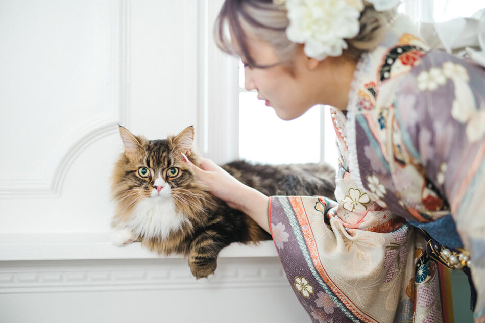 フォトスタジオネコピアノ