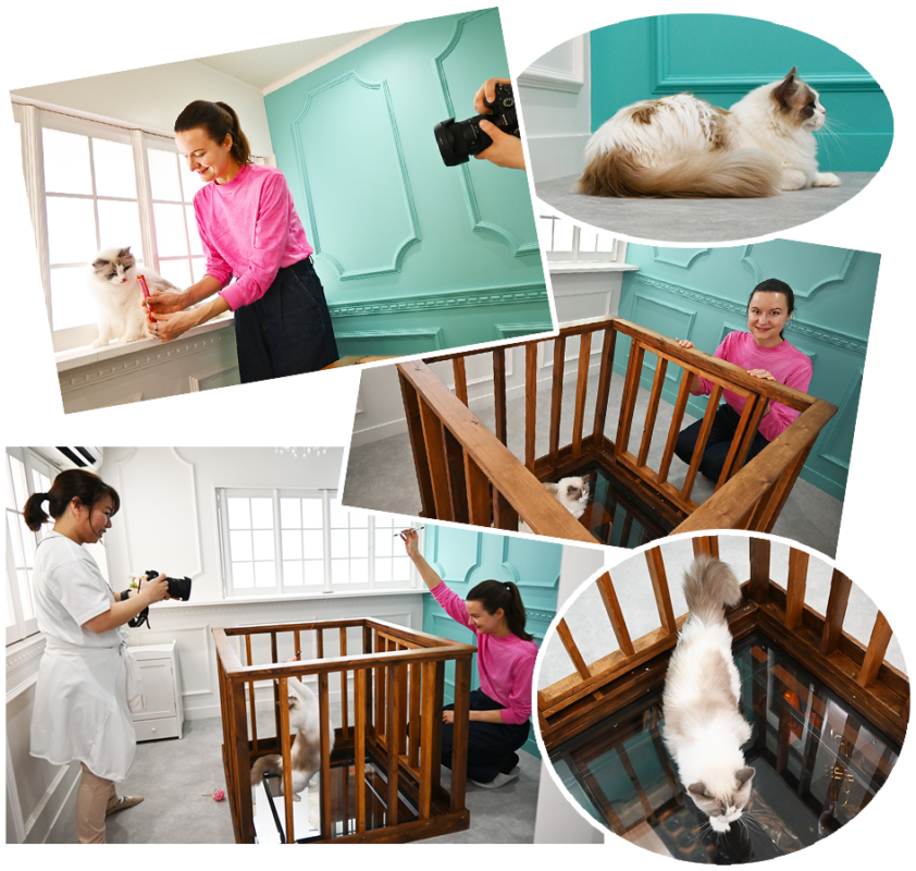 Photo Studio Neko Piano