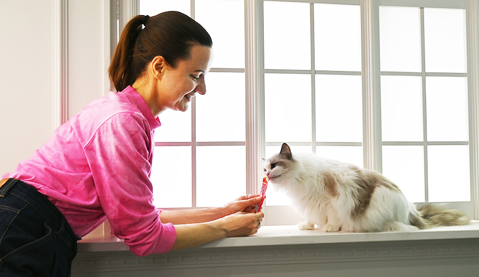 Photo Studio Neko Piano